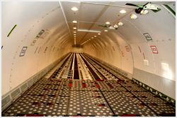 Main Deck and Cargo Door